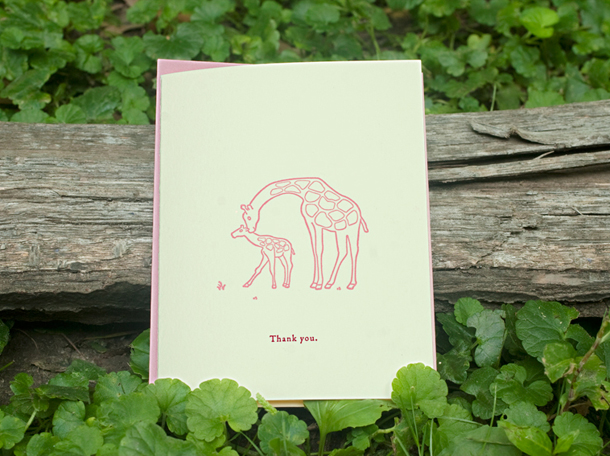 Invitations Carolina thank you fr